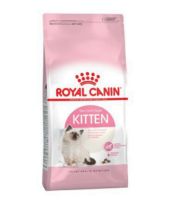 Thức ăn cho mèo con kitten | Royal Canin