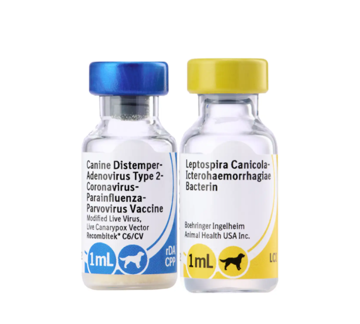 Cún Khỏe – Chủ Yên Tâm: Combo Vacxin 5/7in1 + Rabisin + XN CBC Chỉ 799K