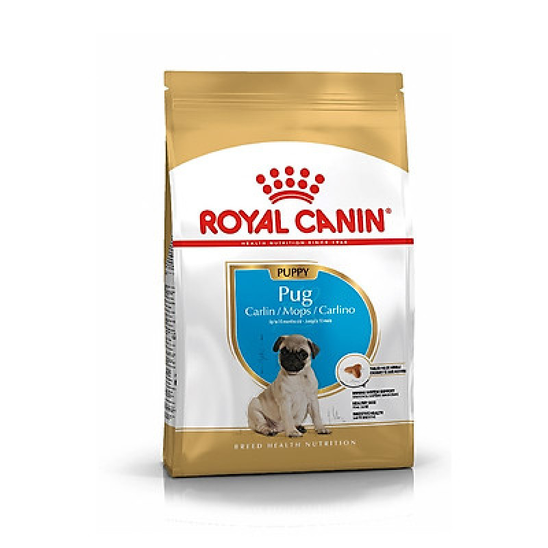 Thức ăn cho chó Pug Puppy 500g I Royal Canin Thức ăn cho chó Pug Puppy 500g I Royal Canin